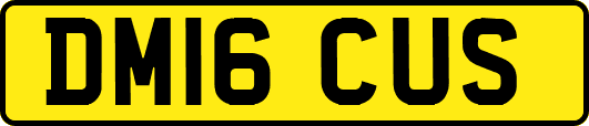 DM16CUS