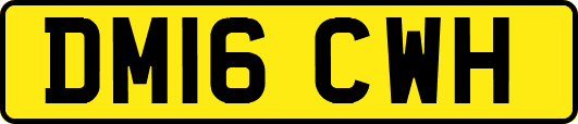 DM16CWH