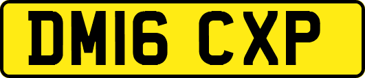 DM16CXP