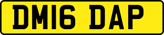 DM16DAP