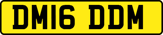 DM16DDM