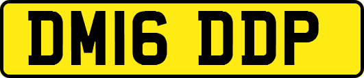 DM16DDP
