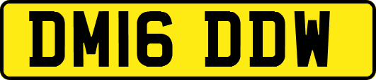 DM16DDW