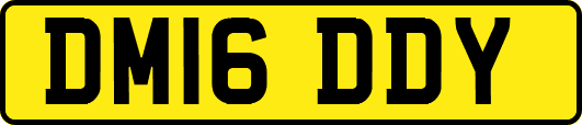 DM16DDY