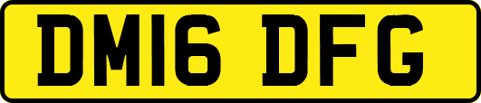 DM16DFG