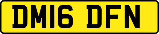 DM16DFN