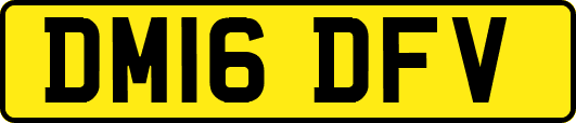 DM16DFV