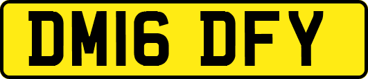 DM16DFY
