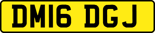 DM16DGJ