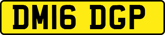 DM16DGP