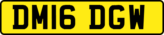 DM16DGW