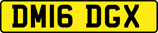 DM16DGX