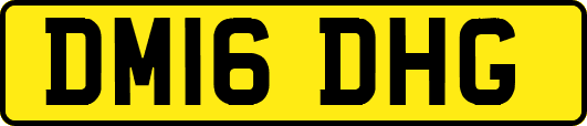 DM16DHG