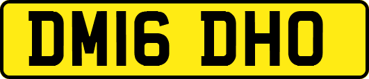 DM16DHO