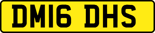 DM16DHS