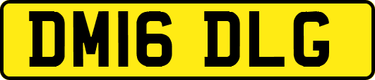 DM16DLG