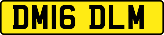 DM16DLM