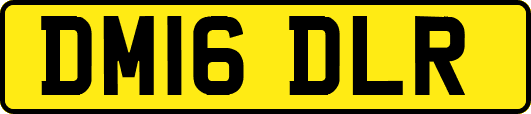 DM16DLR