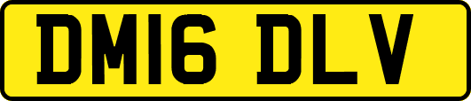 DM16DLV