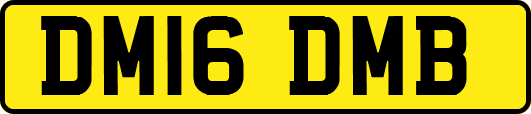 DM16DMB