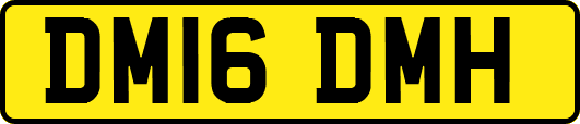 DM16DMH