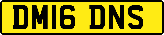DM16DNS
