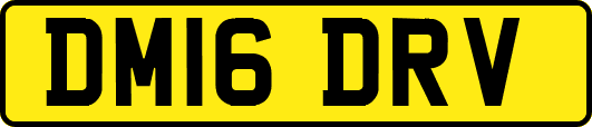 DM16DRV