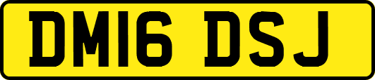 DM16DSJ