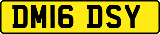 DM16DSY