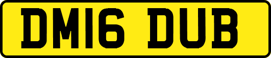 DM16DUB