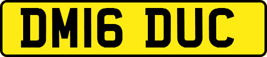 DM16DUC
