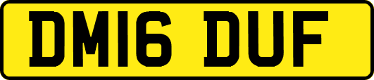 DM16DUF