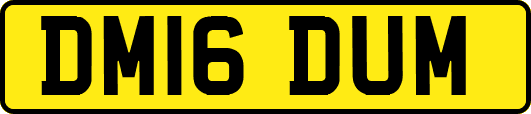DM16DUM