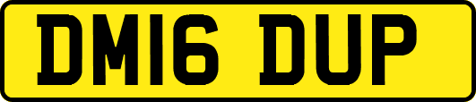 DM16DUP