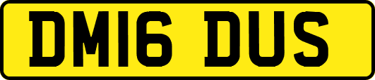 DM16DUS
