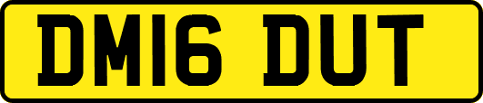 DM16DUT