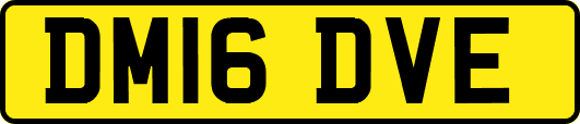 DM16DVE