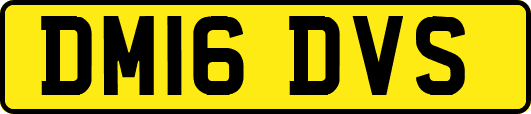 DM16DVS