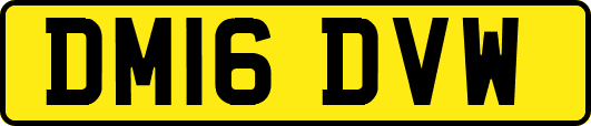 DM16DVW