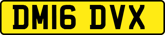 DM16DVX