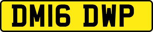 DM16DWP