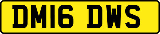 DM16DWS