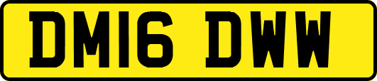 DM16DWW