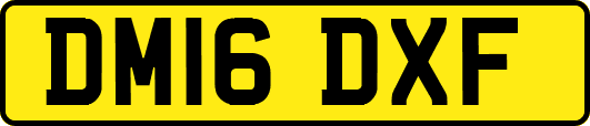 DM16DXF