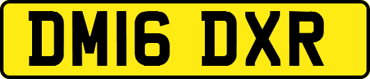 DM16DXR