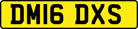 DM16DXS