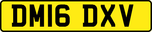 DM16DXV