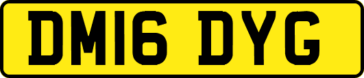 DM16DYG