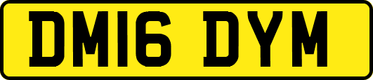 DM16DYM