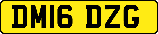 DM16DZG